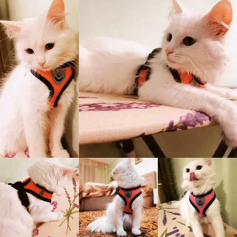ComfortFit Pet Harness