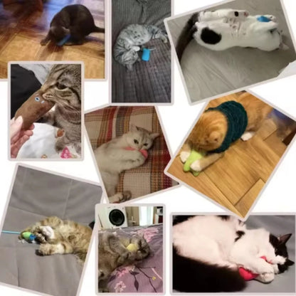 MintMunch Cat Toy